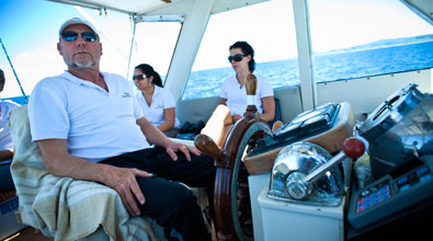 Dolphin Day Trips