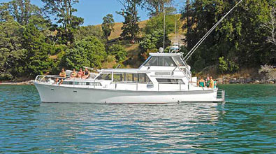 Dolphin Watch Mt Maunganui