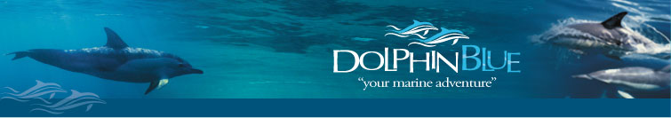 Doplhin Blue - Your Marine Adventure